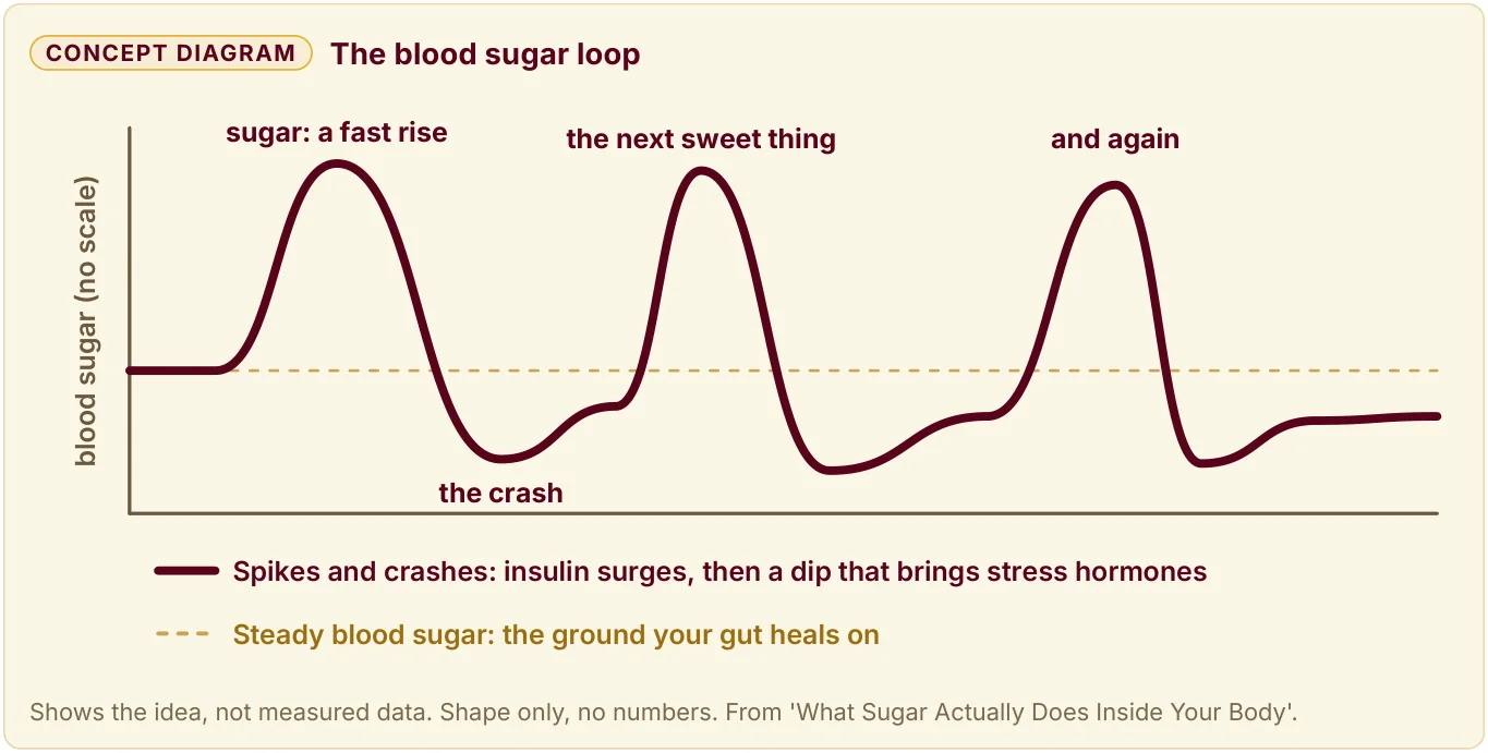 Line chart of the blood sugar loop: a fast rise from sugar, a crash, the next sweet thing, and again, with no scale.