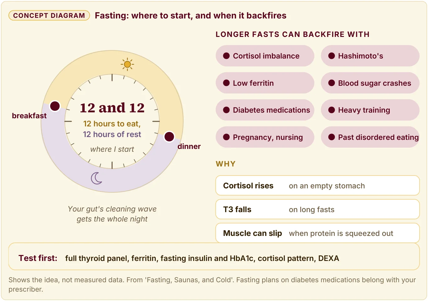 Concept diagram: a 12 and 12 clock (12 hours to eat, 12 hours of rest), 8 situations where longer fasts can backfire, why, and what to test first.