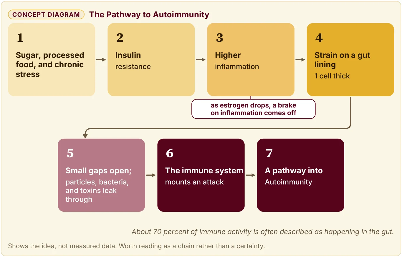 Diagram of a 7-step chain from sugar, processed food, and stress through insulin resistance, inflammation, and gut leaks to Autoimmunity.