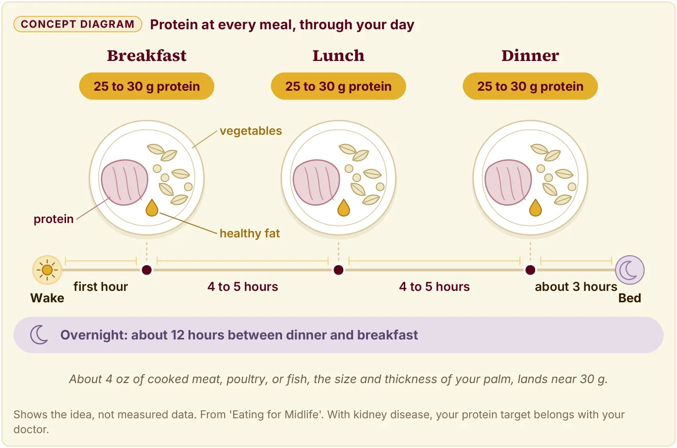 A day of 3 meals with 25 to 30 g of protein each, plus vegetables and healthy fat, spaced 4 to 5 hours apart.