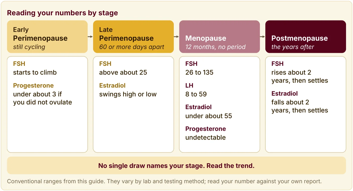 Table of conventional hormone ranges by stage, from early Perimenopause to Postmenopause. No single draw names your stage.