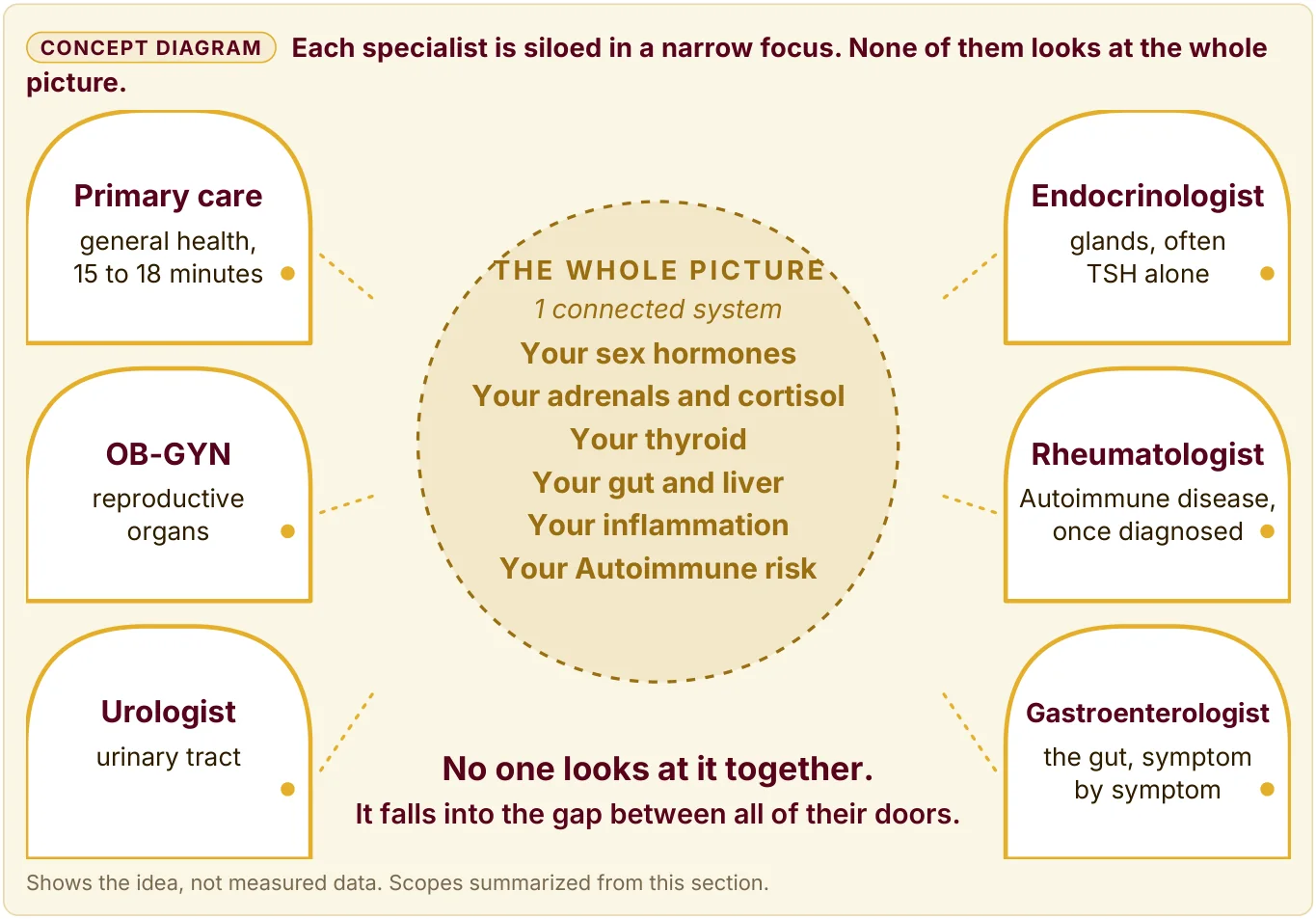 Diagram of 6 specialists, each looking at 1 narrow area, around the whole picture of 1 connected system that none of them sees together.