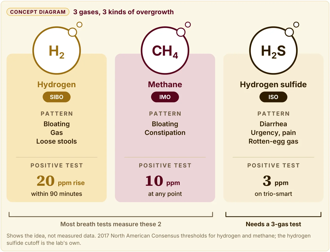 Diagram of 3 gases and 3 overgrowths: hydrogen (SIBO), methane (IMO), and hydrogen sulfide (ISO), each with its symptoms and positive test level.