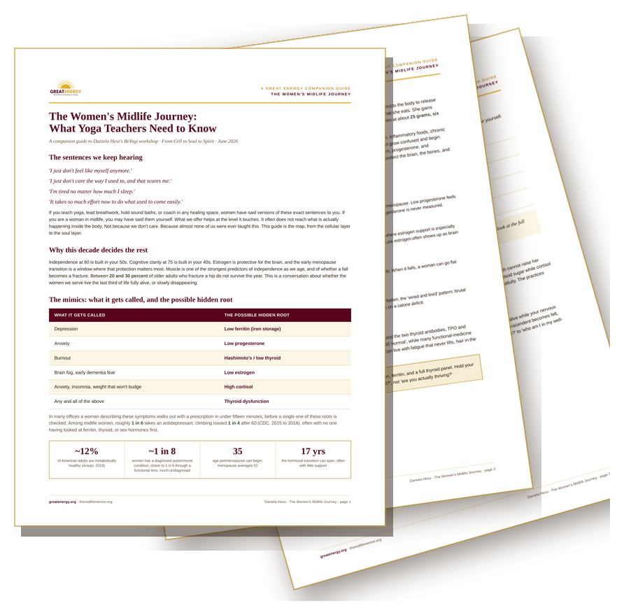 The Women's Midlife Journey companion guide