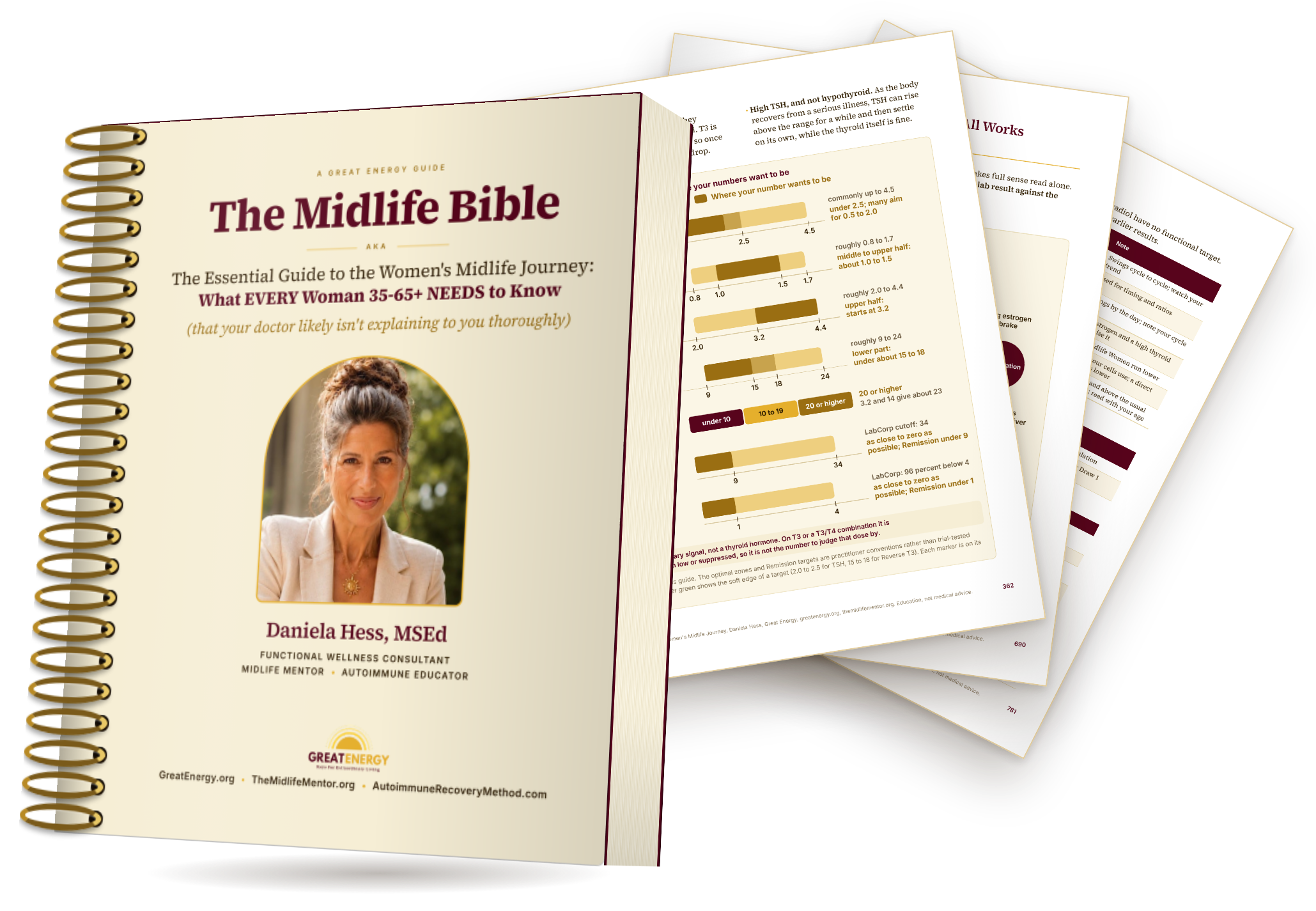 The Midlife Bible by Daniela Hess shown as a book mockup (the Bible itself is a PDF): the cover in front, with inside pages of concept diagrams and lab range charts fanned out behind it