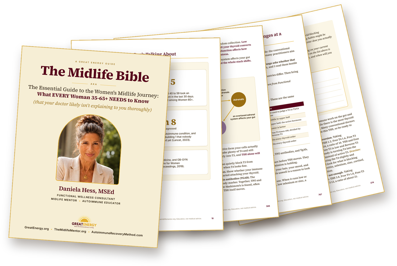 The Midlife Bible, cover and inside pages
