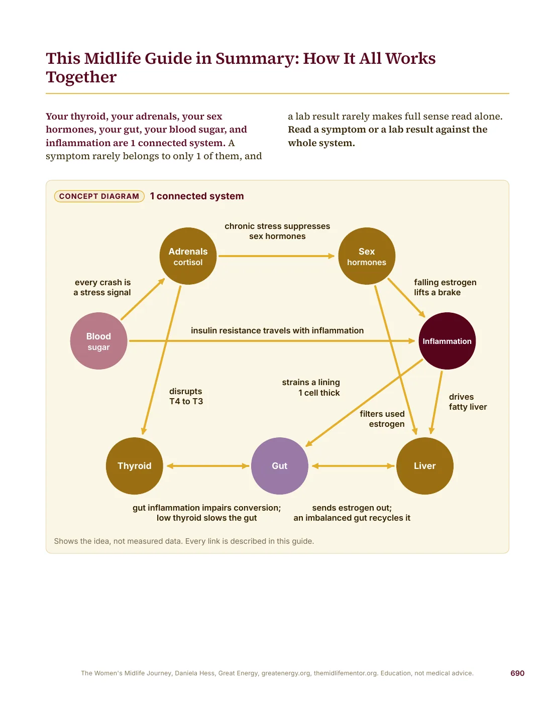 Page 690 of The Midlife Bible: a concept diagram of one connected system linking blood sugar, adrenals, sex hormones, inflammation, thyroid, gut and liver