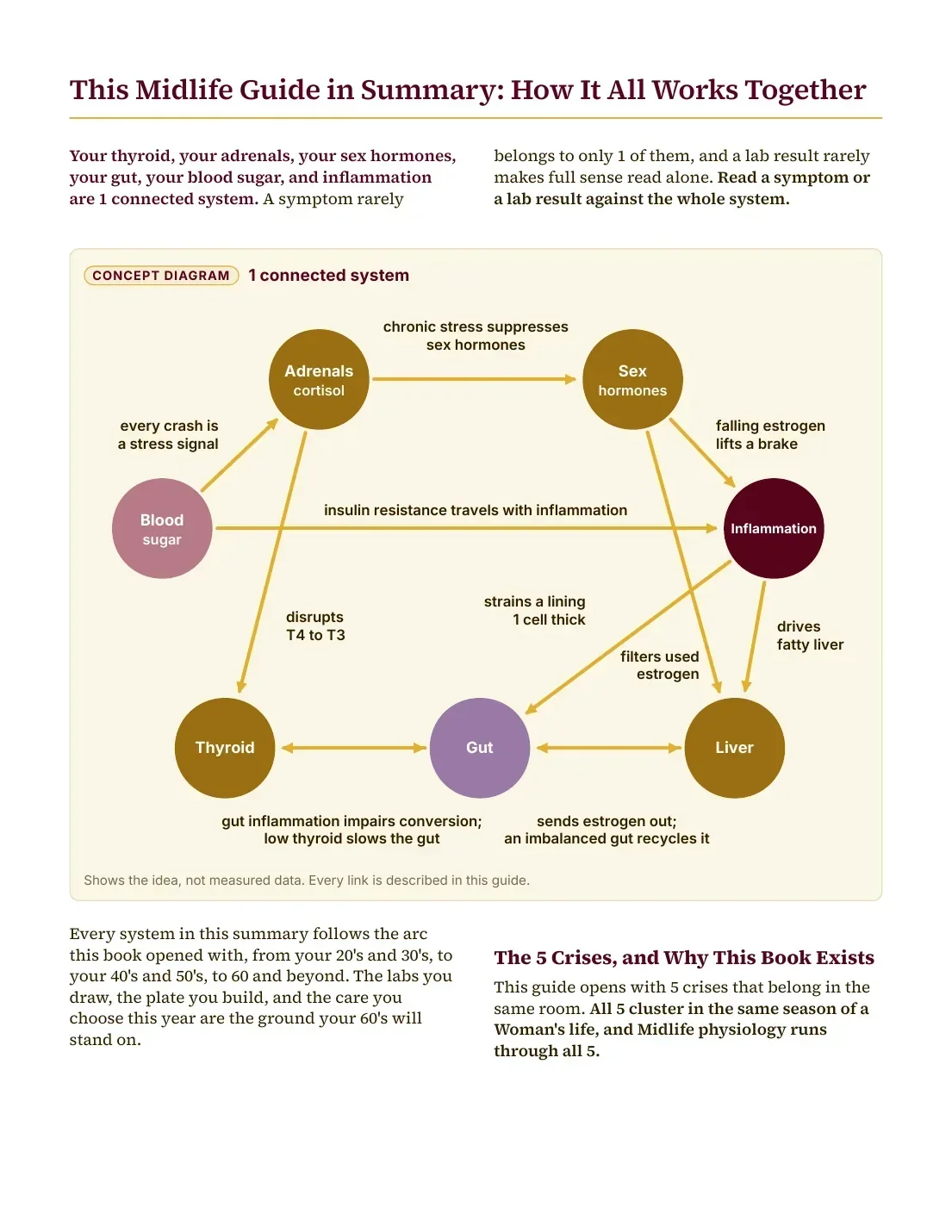 A page from The Midlife Bible: a concept diagram of 1 connected system linking blood sugar, adrenals, sex hormones, inflammation, thyroid, gut and liver